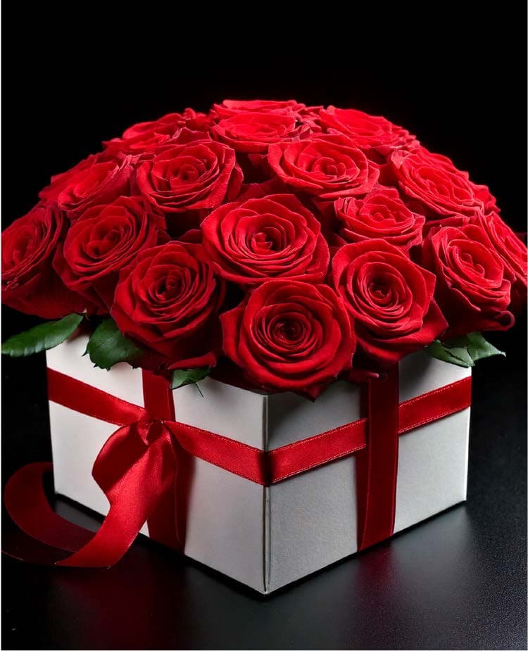 Base rígida especial S4