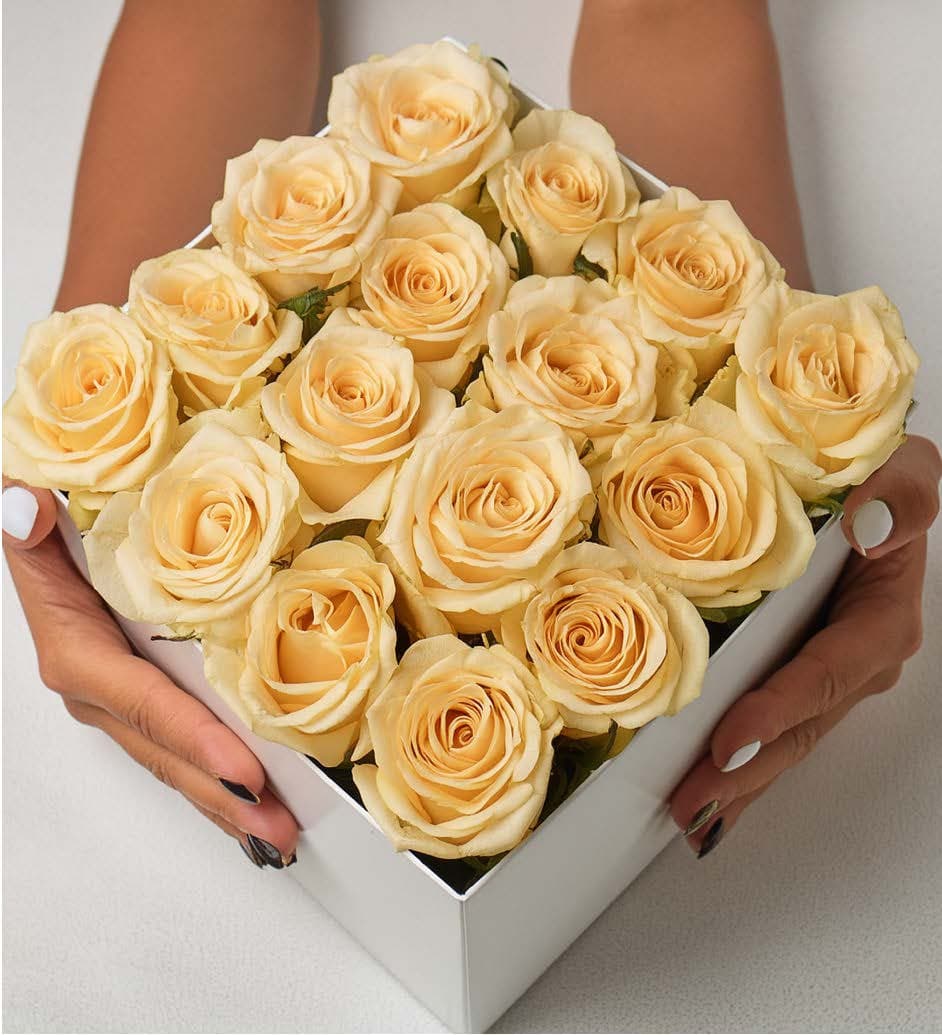 Arreglo base rígida S5