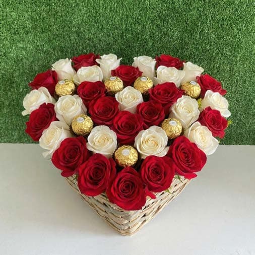 Base rígida premium S6