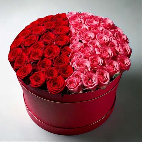 Base rígida gran formato S14